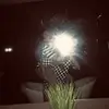 caitlin.downey - @caitlin.downey0 - TikTok