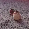caitlin - @caitlinegann - TikTok