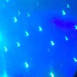 Caitlin egan - @caitlin_coolbah - Instagram
