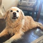 Caitlin Egan - @caitlin1028e - Instagram