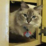 Caitlin Eller - @caitlinlovesanimals34 - Instagram