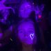 Caitlin Fortune - Facebook