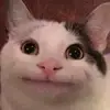 caitlingoode6 - @literallynotcaitl1n - TikTok