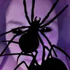 Caitlin Ann Graves - @caitlinanngraves - TikTok
