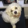 Caitlin Greaney  - @caitlin.greaneyx - TikTok