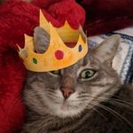 Caitlin Griffin - @caiticat9728 - Instagram
