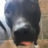 user6193897603054 - @caitlin_albert - TikTok