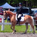 ♘Caitlin&Hannah♘ - @leap.of.faith.riding.center - Instagram