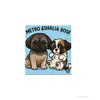 The Harrison’s Little Shihtz - @caitlinharrison14 - TikTok