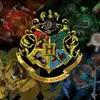 secretbishes12484 - @caitlin.harry.potter - TikTok