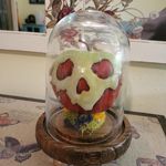 Caitlin Hartman - @zoozoos_oddities - Instagram