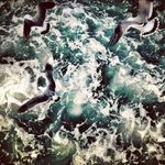 WAQAR - @waqar_caitlinhatfield - Instagram