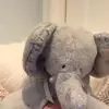 midgetcaitlin - @caitlinheadpriv - TikTok