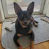 caitlinherrera98 - @caitlinherrera98 - TikTok