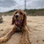 Caitlin Hocking - @caitlinhocking - Instagram