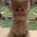 Caitlin Hormann - Facebook