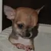 Caitlin House - @caitlin.house6 - TikTok