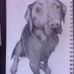 Caitlin-Jay Wyllie-Quinn - @caitlinsartinsta - Instagram