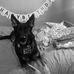 Jay Caitlin - Facebook