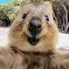 CaitlinJimenez - @samsokhgnfr - TikTok