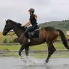 caitlin joubert - @caitlin.eqeustrain - TikTok