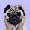 caitlinjoubert20 - @user64318877 - TikTok