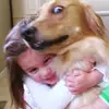 caitlin joy - @caitlinnjoy - TikTok