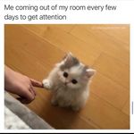 Caitlin Kern - @dearmysweetorange - Instagram