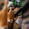 CaitlinKnapp - @leopovqs69l - TikTok