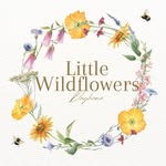 Caitlin | Little Wildflowers Dayhome - @littlewildflowers.dayhome - Instagram