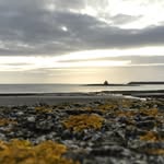 Caitlin McAleer Photography - @caitlinmcaleerphotography - Instagram