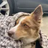 caitlinmakinmeagher - @caitlin_mackin_toes - TikTok