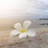 caitlinmears56 - @aesthetics_beauty0 - TikTok
