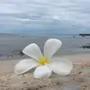 caitlinmears78 - @caitlinmears78 - TikTok
