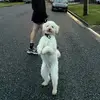 caitlinmills__ - @caitlinmills__ - TikTok
