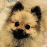 Caitlin Newell - @thelittle.life.of.tim - Instagram