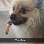 Stfumate - @newell.caitlin - Instagram