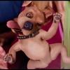 caitlin ;) - @caitlin.noel - TikTok