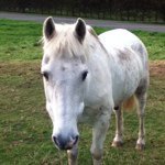 Caitlin Oldham - @hazebramble7 - Instagram