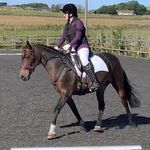 Caitlin Padgett - @caitlinpadgett_pararider - Instagram