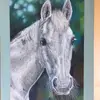 CaitlinPadgettArtist - @caitlinpadgettartist - TikTok