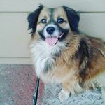 caitlin petersen - @caitlinpetersen70 - Instagram