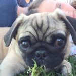 Caitlin Petersen - @the_jets_041807 - Instagram