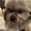 Caitlin Pham895 - @phamcaitlin22 - TikTok