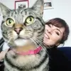 caitlinplatt - @caitlinplatt - TikTok