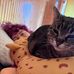 Caitlin Powers - Facebook