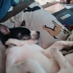 Kaitlyn Proctor - Facebook