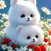CaitlinRush - @reagahxcqs3 - TikTok