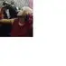 caitlinrust2 - @caitlinrust2 - TikTok