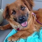 caitlin.rusty - @caitlin.rusty - Instagram